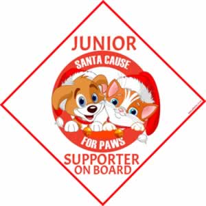 Baby on board - JNR Santa Cause for Paws